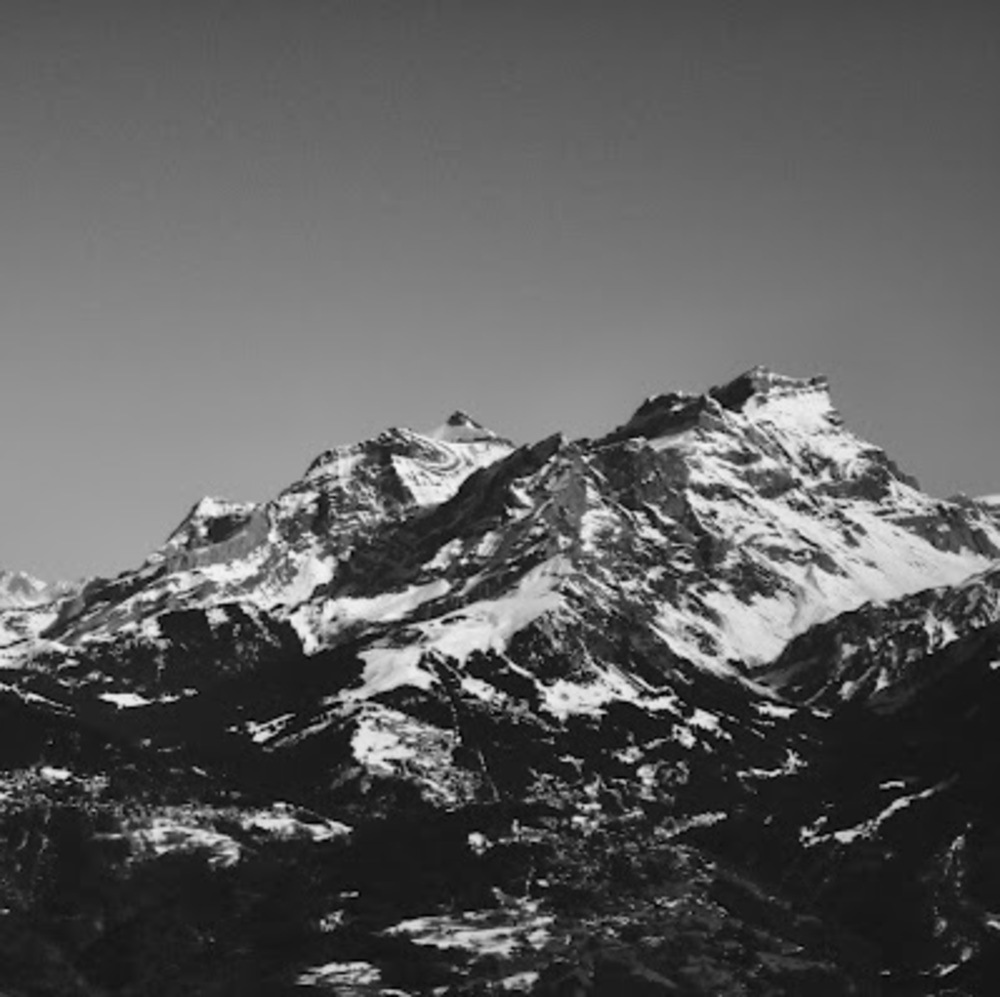 Meet your Posher, Danika